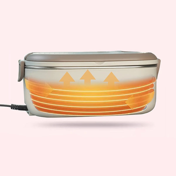Portable Electric Lunch Box
